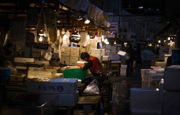 Tsukiji Fish Market - Duncan Cowles - November 2016